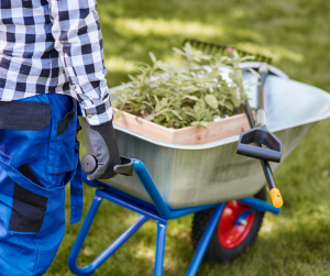 How to Lay Out a Vegetable Garden